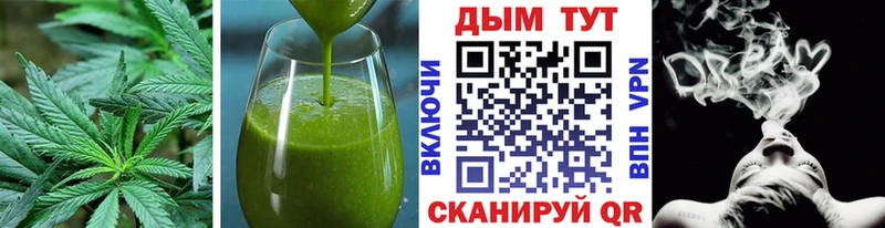 Купить где  Ардатов  Canna-Cookies конопля 