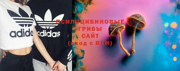 трава Медвежьегорск