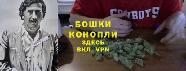 хмурый Мегион