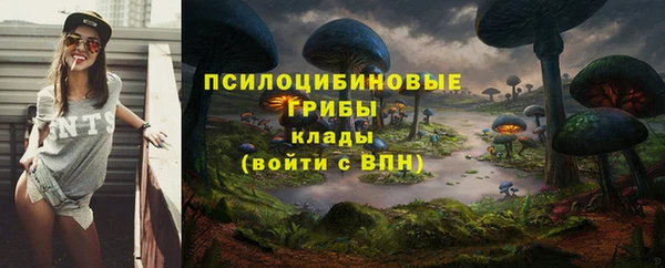 хмурый Мегион
