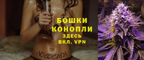 хмурый Мегион