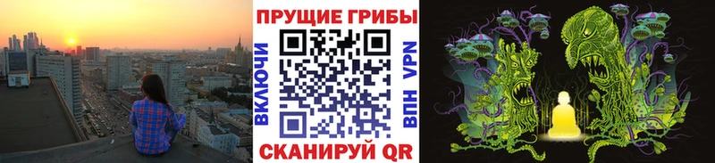 Купить закладки  Ардатов  Псилоцибиновые грибы прущие грибы 